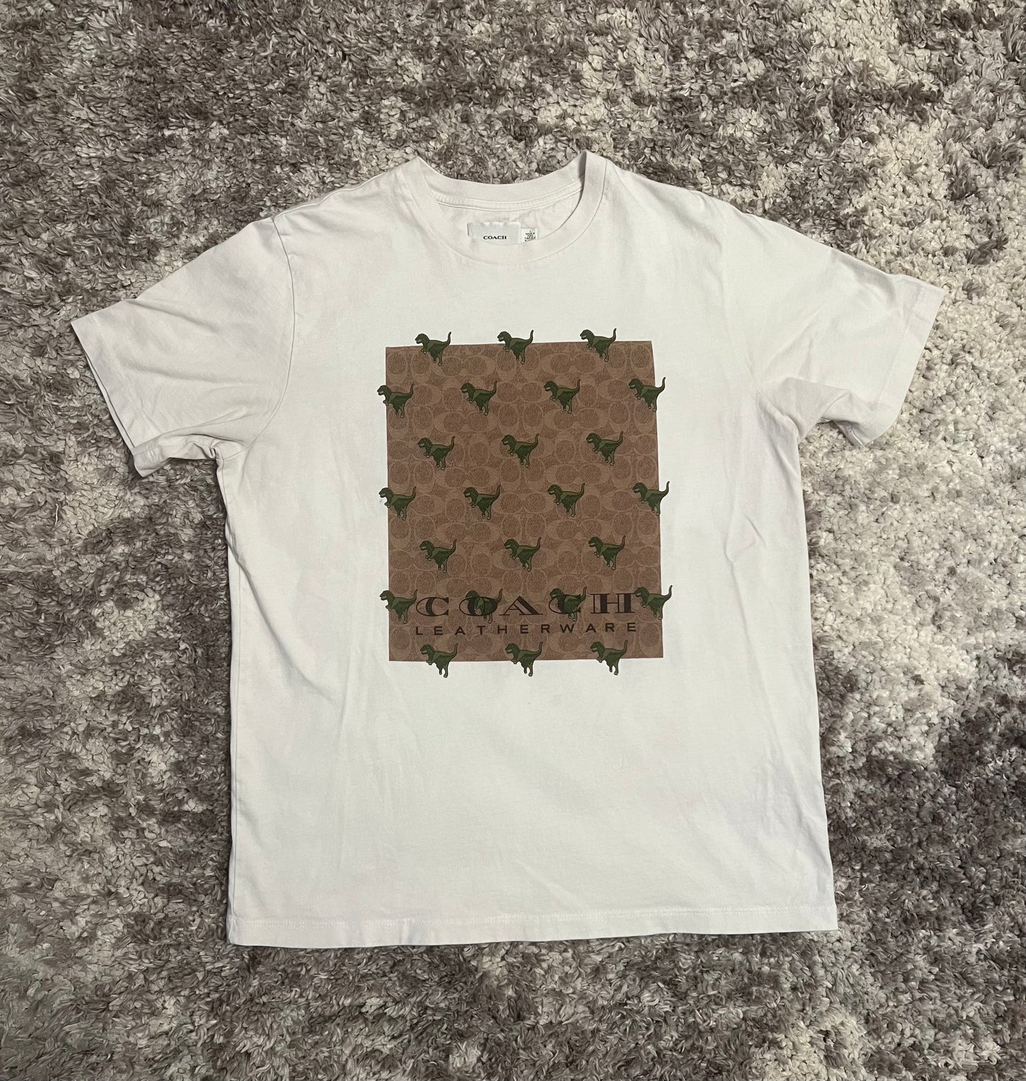 Coach Leatherware Dinosaur Graphic Sz: L
