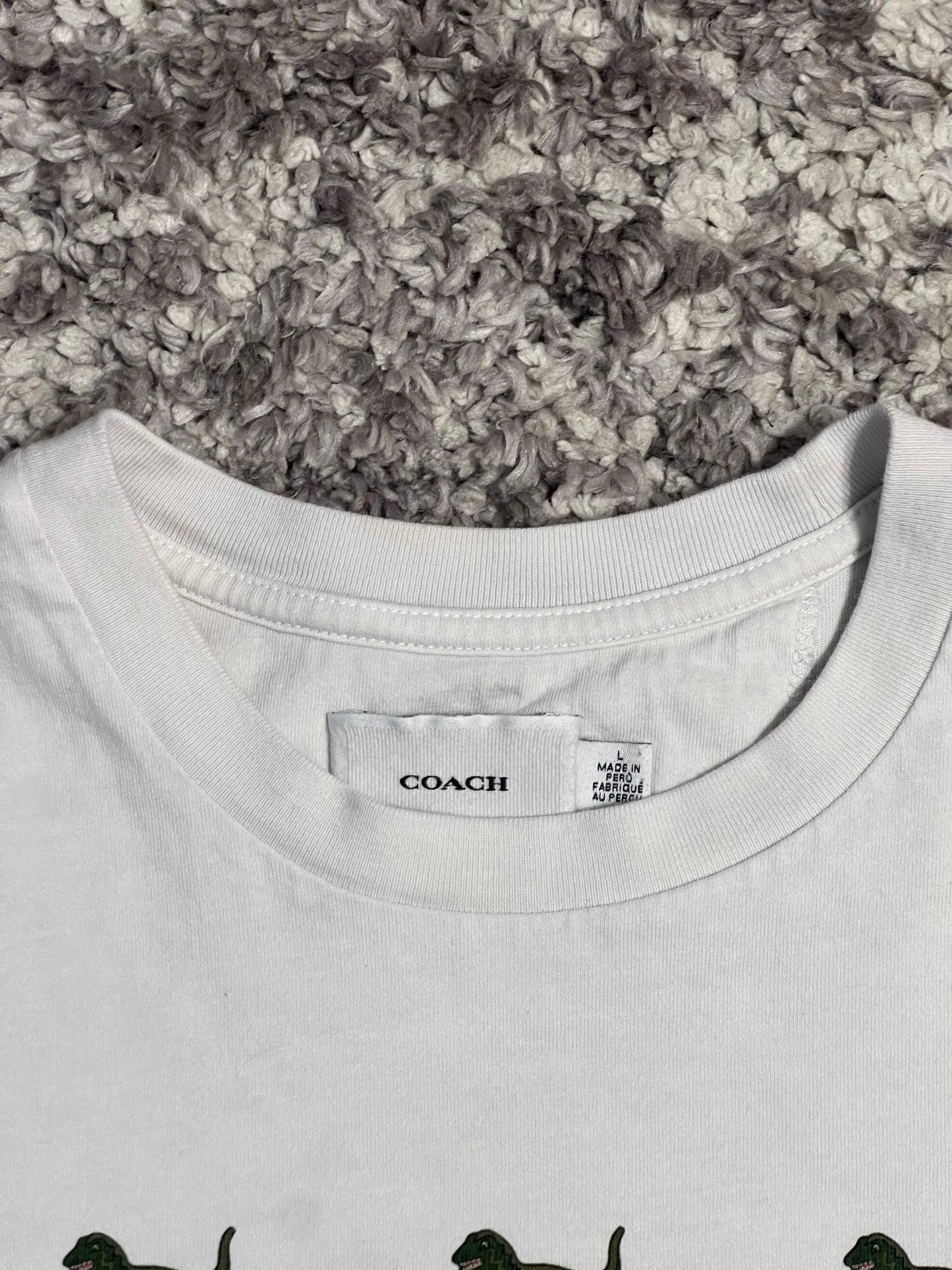 Coach Leatherware Dinosaur Graphic Sz: L